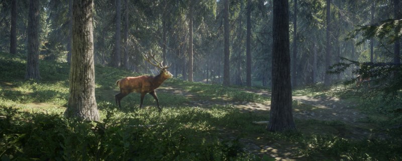 《猎人：荒野的呼唤》蒂阿拉罗瓦的臆羚怎么抓