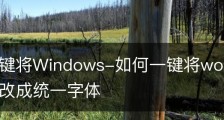 如何一键将Windows-如何一键将word里的数字英文修改成统一字体