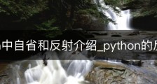 Python中自省和反射介绍_python的反射