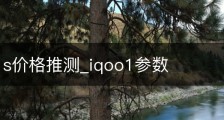 iqoo11s价格推测_iqoo1参数