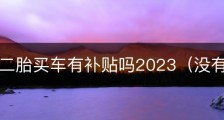 杭州生二胎买车有补贴吗2023（没有）