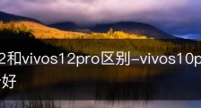 vivos12和vivos12pro区别-vivos10pro和苹果12哪个好