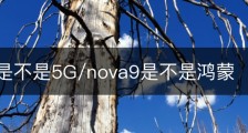 nova9是不是5G/nova9是不是鸿蒙