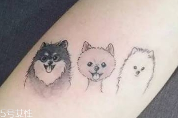 纹身能纹狗吗 绝对可以的