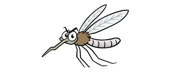 蚊子会不会传播病毒