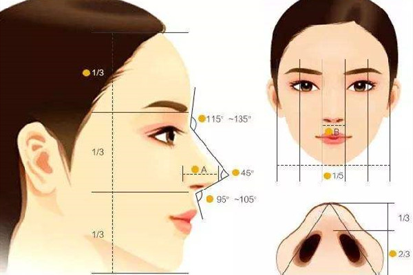 隆鼻可以维持一辈子吗 隆鼻是怎么操作的