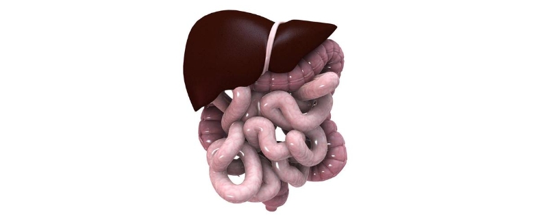 肝脏和直肠是一个科室吗