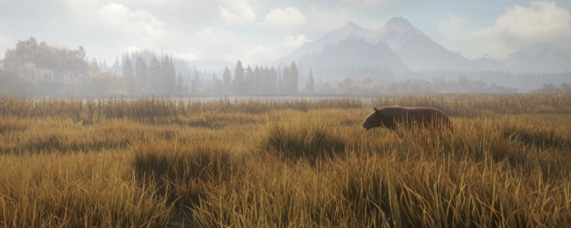 《猎人：荒野的呼唤》银岭峰的美洲平原野牛怎么抓