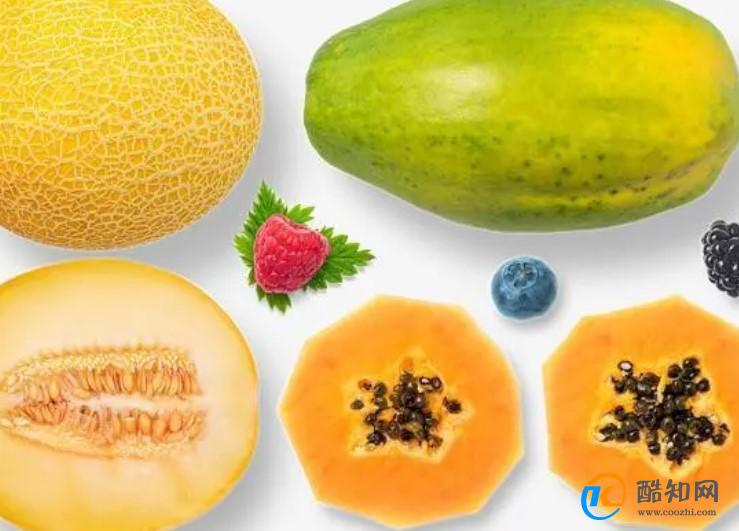 哈密瓜和木瓜的区别是什么