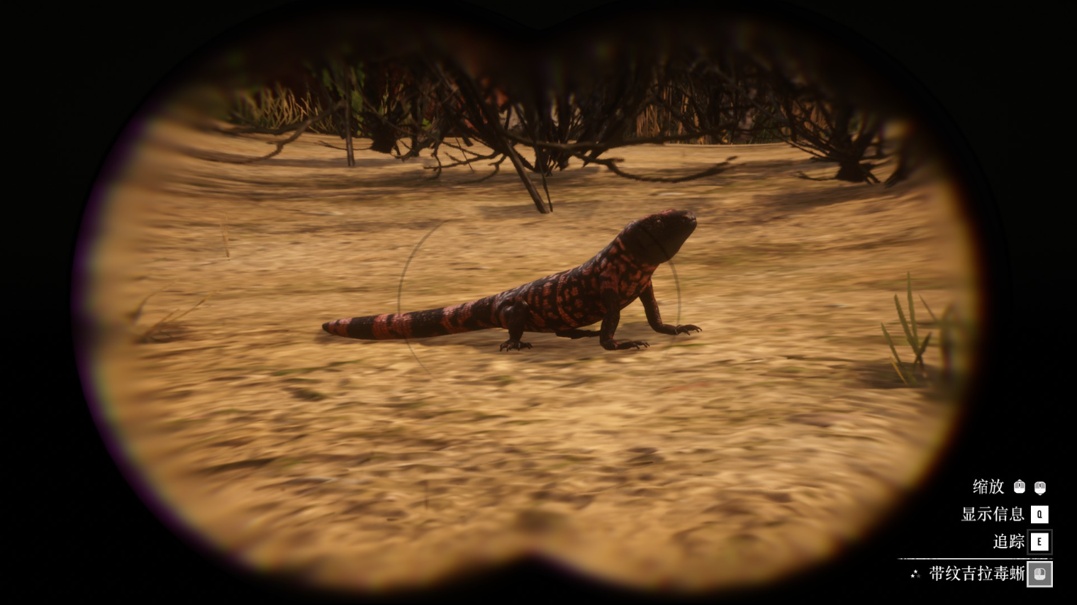 《荒野大镖客2》动物带纹吉拉毒蜥蜴在哪里找