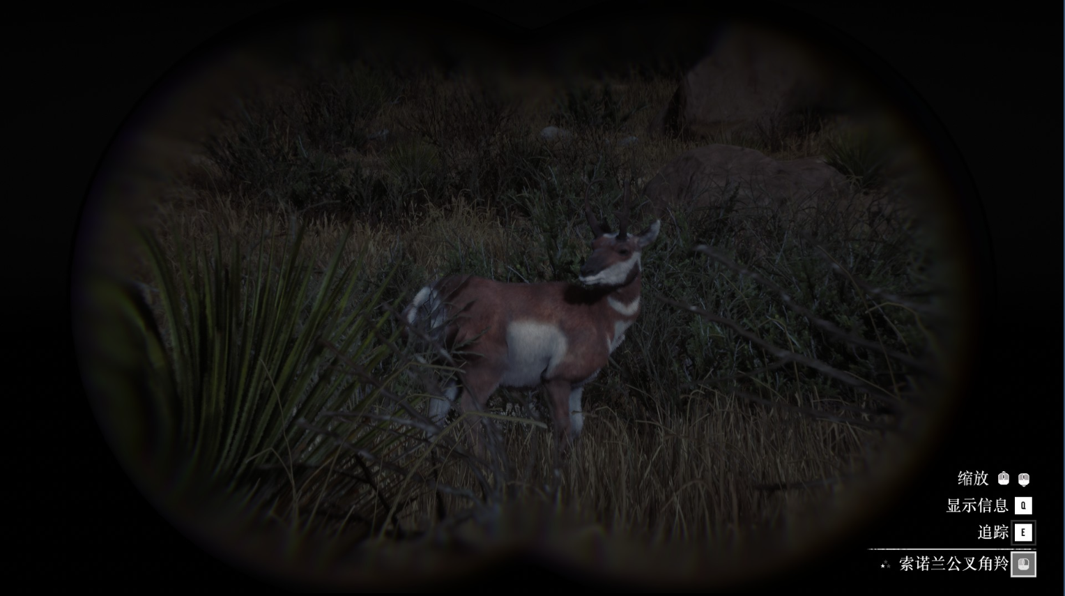 《荒野大镖客2》动物索诺兰公叉角羚在哪里找