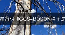 滞困异星黎明HIGGS-BOSON种子是什么