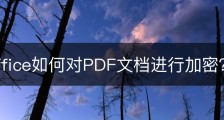 wps office如何对PDF文档进行加密？