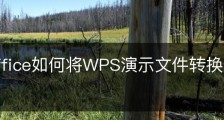wps office如何将WPS演示文件转换为PDF文件？