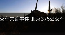 北京公交车失踪事件,北京375公交车灵异事件全过程