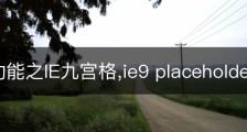 ie9新功能之IE九宫格,ie9 placeholder