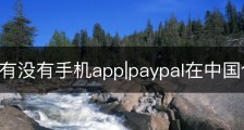 paypal有没有手机app|paypal在中国合法吗