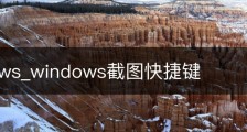 Windows_windows截图快捷键