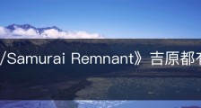 《Fate/Samurai Remnant》吉原都有什么收集品