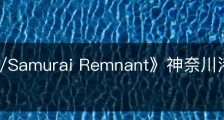 《Fate/Samurai Remnant》神奈川港的瓦板在哪