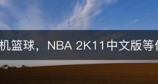 玩转手机篮球，NBA 2K11中文版等你来挑战