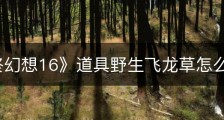  《最终幻想16》道具野生飞龙草怎么获得