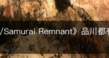 《Fate/Samurai Remnant》品川都有什么收集品