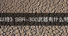 《严阵以待》SBR-300武器有什么特点