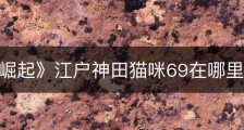 《浪人崛起》江户神田猫咪69在哪里