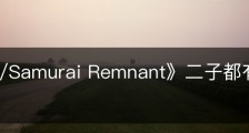《Fate/Samurai Remnant》二子都有什么收集品