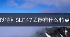 《严阵以待》SLR47武器有什么特点