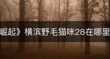 《浪人崛起》横滨野毛猫咪28在哪里