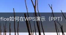 wps office如何在WPS演示（PPT）文件中插入音频？