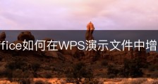 wps office如何在WPS演示文件中增加项目个数？