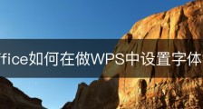 wps office如何在做WPS中设置字体？
