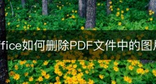wps office如何删除PDF文件中的图片？