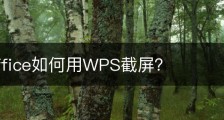 wps office如何用WPS截屏？