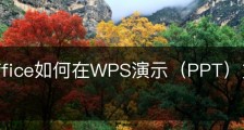 wps office如何在WPS演示（PPT）文件中插入文件？