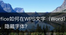 wps office如何在WPS文字（Word）中设置不打印字体，隐藏字体？