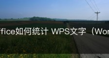 wps office如何统计 WPS文字（Word）中的字数？