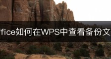 wps office如何在WPS中查看备份文件？