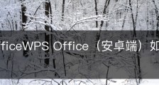 wps officeWPS Office（安卓端）如何智能填充