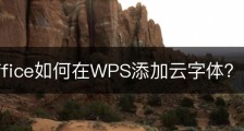 wps office如何在WPS添加云字体？