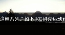 耐克慢跑鞋系列介绍 NIKE耐克运动鞋怎么选