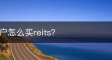 证券账户怎么买reits？