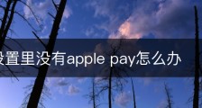2016设置里没有apple pay怎么办
