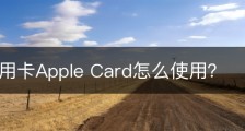 苹果信用卡Apple Card怎么使用？