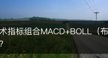 中线技术指标组合MACD+BOLL（布林线）怎么实战参考？