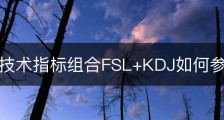 中短线技术指标组合FSL+KDJ如何参考使用？