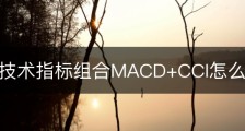 趋势性技术指标组合MACD+CCI怎么使用？